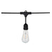 SATCO/NUVO 24 Foot LED String Light 12 Vintage ST19 Bulbs Included 120V (S8036)