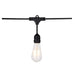 SATCO/NUVO 24 Foot LED String Light 12 Vintage ST19 Bulbs Included 120V (S8036)