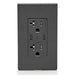 Leviton 60W 6A USB Dual Type C/C Power Delivery Wall Outlet Charger With 20A Tamper Resistant Outlet Black (T5836-E)