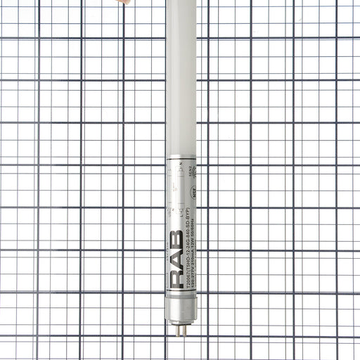 RAB LED T5HO 2 Foot Glass Type B SD 12W 4000K 1600Lm G5 80 CRI (T5HO-12-24G-840-SD-BYP)