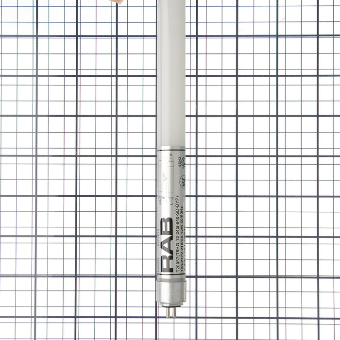 RAB LED T5HO 2 Foot Glass Type B SD 12W 4000K 1600Lm G5 80 CRI (T5HO-12-24G-840-SD-BYP)