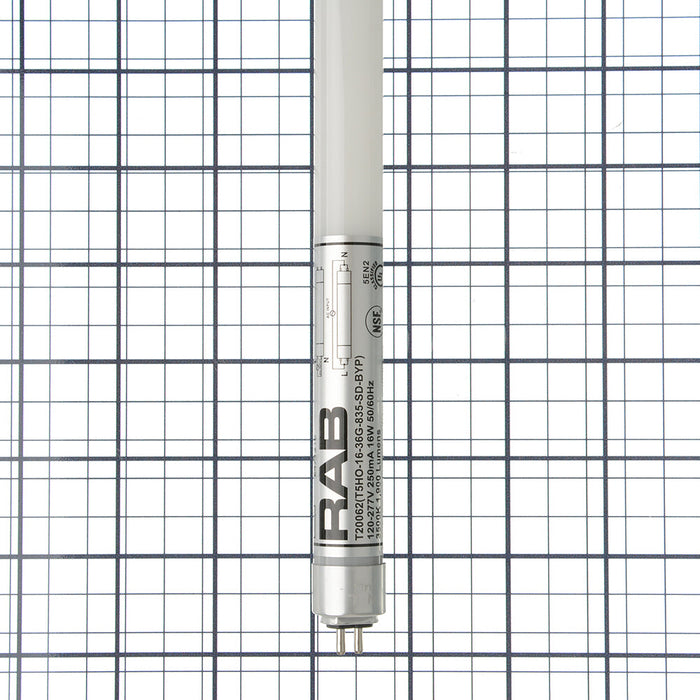 RAB LED T5HO 3 Foot Glass Type B SD 16W 3500K 2050Lm G5 80 CRI (T5HO-16-36G-835-SD-BYP)
