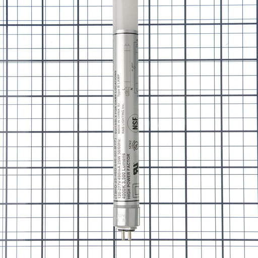 RAB LED T5HO 4 Foot Glass Type B SD 25W 4000K 3500Lm G5 80 CRI (T5HO-25-48G-840-SD-BYP)