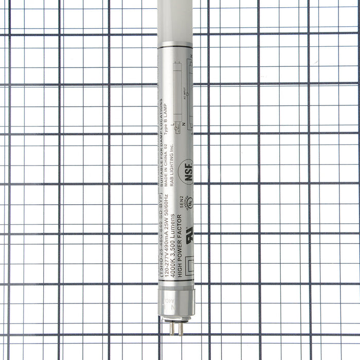 RAB LED T5HO 4 Foot Glass Type B SD 25W 4000K 3500Lm G5 80 CRI (T5HO-25-48G-840-SD-BYP)