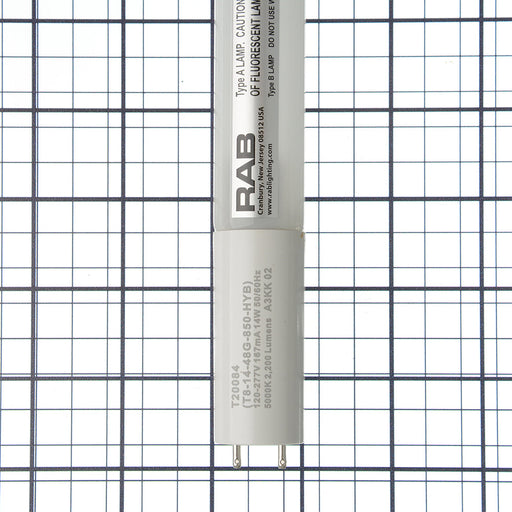 RAB T8 LED Glass 14W 4 Foot Hybrid 2200Lm 5000K (T8-14-48G-850-HYB)