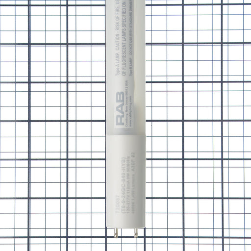 RAB LED T8 2 Foot Glass Coated Hybrid 9W 4000K 1450Lm G13 Base 80 CRI (T8-9-24GC-840-HYB)