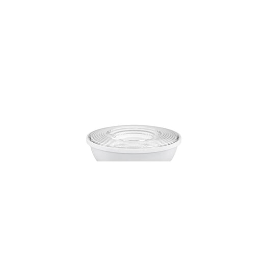 Maxlite 112082 Value Series LED PAR20 Lamp E26 Base 6W 550Lm 5000K 40 Degree Flood Triac Dimming 120V 80 CRI White Housing (V6PAR20D850FL)
