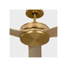 Generation Lighting Elara Smart 56 Ceiling Fan Burnished Brass Finish Natural Honey Blades (3ELASM56BBSNH)