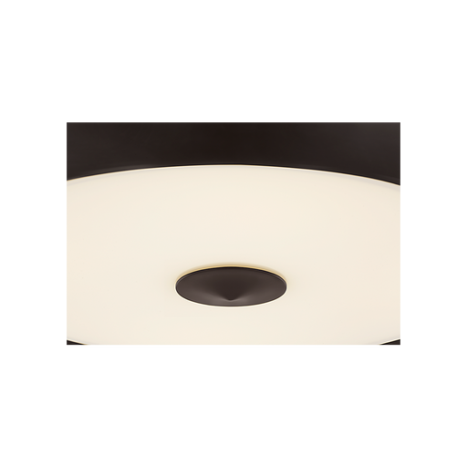Generation Lighting Solene 24 Inch Pendant In Aged Iron (LXC1208AI)