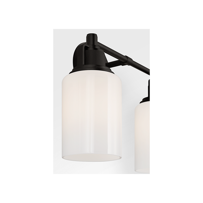 Generation Lighting Ashford 14 Inch Bath Fixture In Aged Iron (CV1112AI)