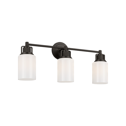 Generation Lighting Ashford 24 Inch Bath Fixture In Aged Iron (CV1113AI)
