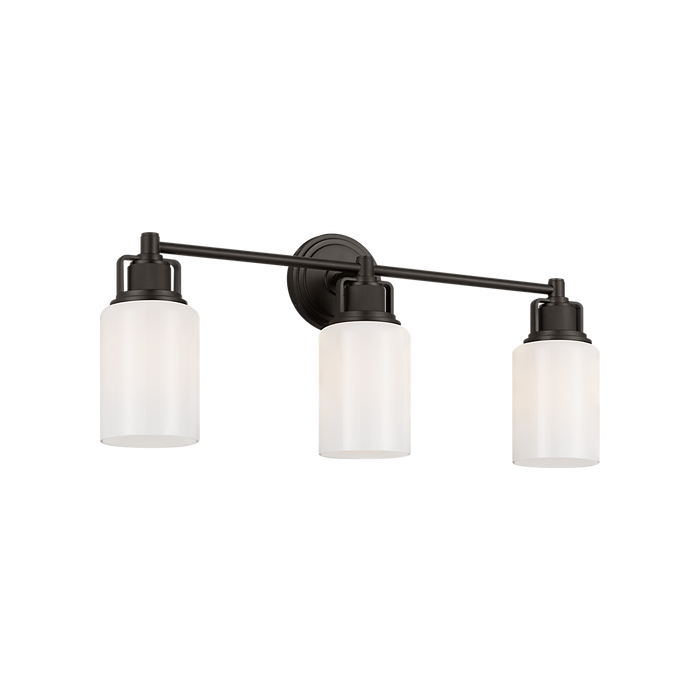 Generation Lighting Ashford 24 Inch Bath Fixture In Aged Iron (CV1113AI)