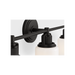 Generation Lighting Ashford 24 Inch Bath Fixture In Aged Iron (CV1113AI)
