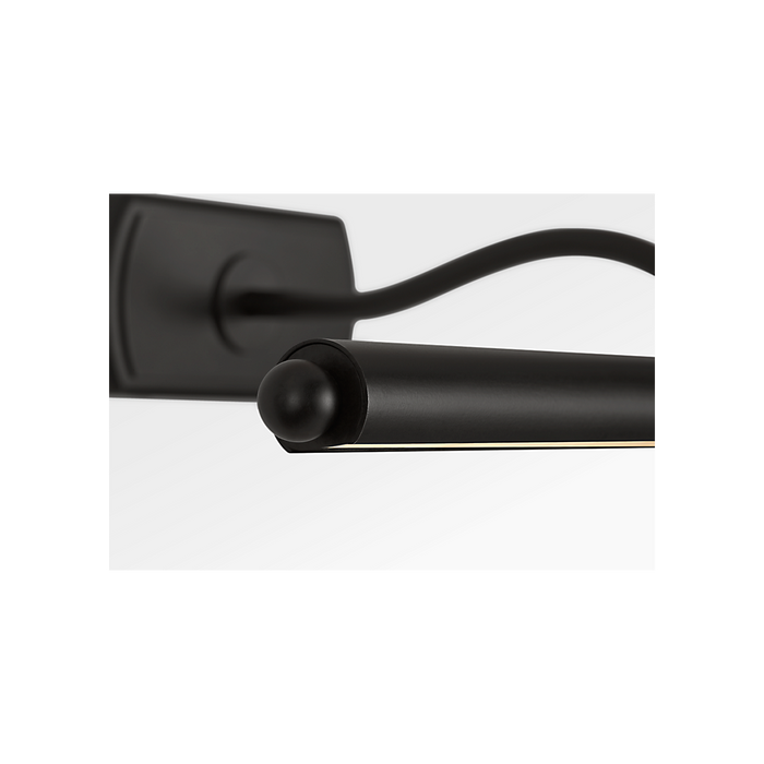 Generation Lighting Lamont 19 Inch Picture Light In Aged Iron (CW1391AI)