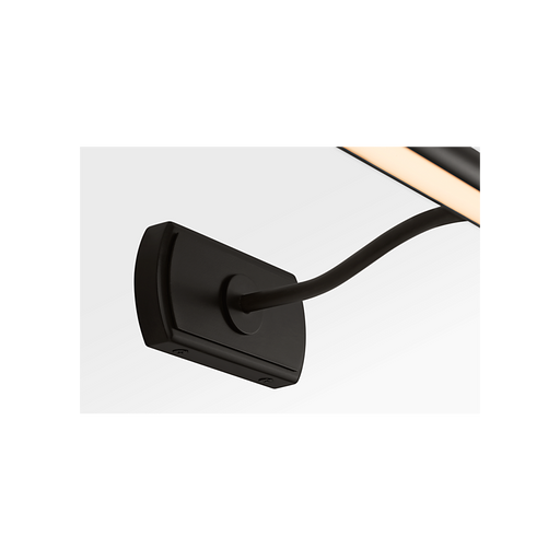 Generation Lighting Lamont 19 Inch Picture Light In Aged Iron (CW1391AI)