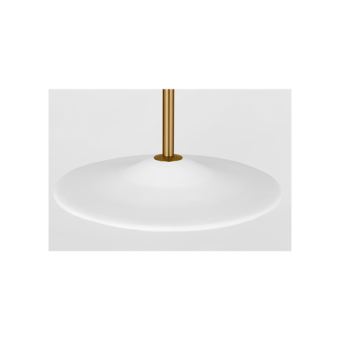 Generation Lighting Endicott 24 Inch Pendant In Burnished Brass (KSP1201BBS)