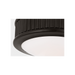Generation Lighting Ritz 5 Inch Flush Mount In Aged Iron (PCF1001AI)