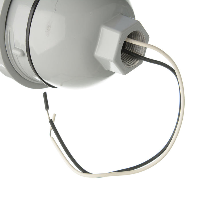 RAB Vaporproof 100 Pendant 3/4 Inch Silver Glass Globe Cast Guard (VP100DGS-3/4)