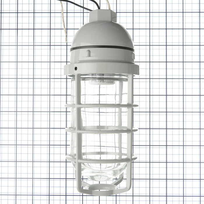 RAB Vaporproof 100 Pendant 3/4 Inch Silver Glass Globe Cast Guard (VP100DGS-3/4)