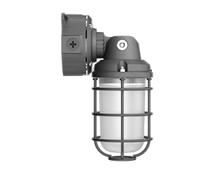 RAB LED Vaporproof Light Wattage Selectable 26W/18W/12W RGB/5000K Adjustable 120-277V On/Off Photocell Natural Shot Blasted Aluminum (VXRGB26)