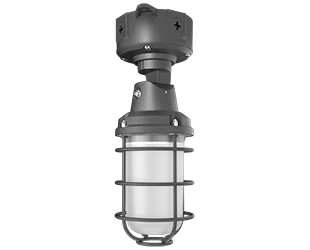 RAB LED Vaporproof Light Wattage Selectable 26W/18W/12W RGB/5000K Adjustable 120-277V On/Off Photocell Natural Shot Blasted Aluminum (VXRGB26)