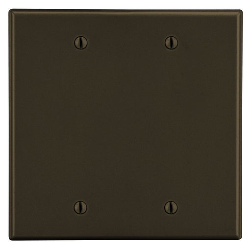 Bryant Wall Plate 2-Gang 2 Box Mount Blank Brown (P23)