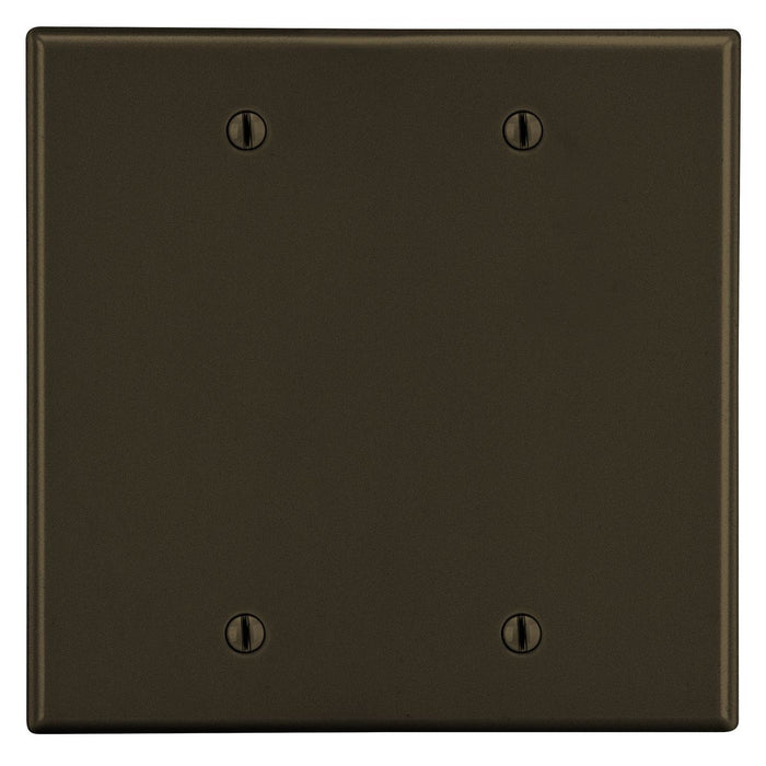 Bryant Wall Plate 2-Gang 2 Box Mount Blank Brown (P23)