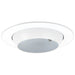 NICOR White Trim And Eyeball For 4 Inch Recessed Housing Using PAR20/R20 Lamps (19506WH)