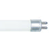 Standard 8W 13-1/5 Inch 4100K T4 Miniature Bi-Pin Base Bulb (F8T4/41K)