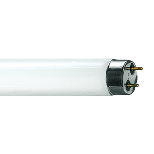 Standard 10W 13 9/16 Inch 4100K T8 Medium Bi-Pin Base Bulb (F10T8CW)