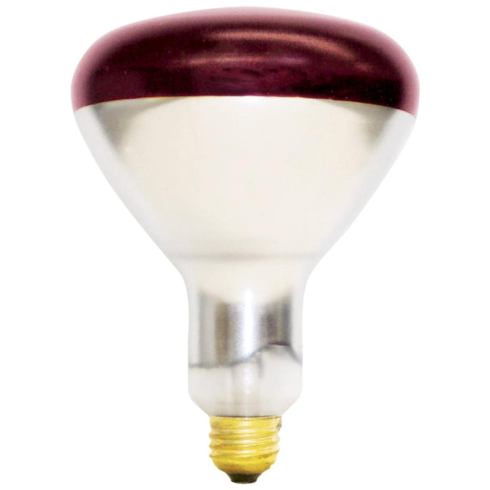 Standard 250W BR40 Incandescent 120V Medium E26 Base Red Shatter Resistant Coated Heat Bulb (250BR40/10/TEF)