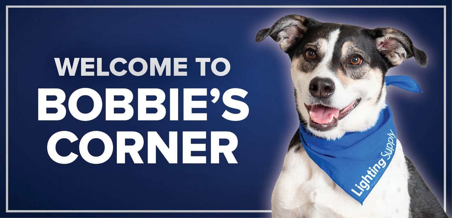Catch up with Bobbie!