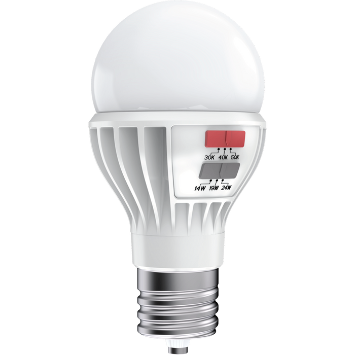 RAB LED A23 Lamp EX39 Base Wattage/CCT Selectable 24W/19W/14W 3000K/4000K/5000K 80 CRI 120-277V (A23-24S-EX39-8CCT-DIM-UNV)
