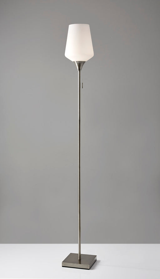 Adesso Brushed Steel Roxy Floor Lamp-White Opal Glass Cylinder Shade And 60 Inch Clear Cord And On/Off Nylon Pull Chain Switch (4266-22)