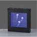 Adesso Simplee Adesso Jellyfish Motion Light Box Black (SL3723-01)