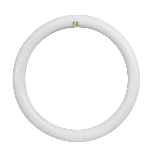 Feit Electric 12 Inch 20W [32W Equivalent] Daylight Deluxe 6500K G10Q T9 Direct Replacement Type A Non-Dimmable Circline LED Light Tube (FC12/865/LED)