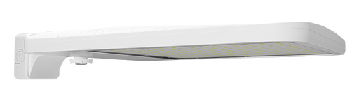 RAB ALED 300W-345W-385W Type II 5000K Wall Mount WS Sensor 40 Foot Lens White (ALEDXL2TWMW/WS4)