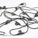 American Lighting 48 Foot Cageless 24 E26 Sockets 24 Inch Spacing 14 AWG 2-Wire Black cETLus (LS2-M-24-48-BK)