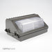 American Lighting Rectangular Wall Pack DB COB-2 120-277V 33W 5000K C/UL Wet (WP-R1-50-DB)