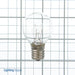 American Lighting S11 Incandescent Lamp 10W E17 130V 8000 Hours Clear (B10S11-CL)