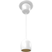 RAB ARC Track Light 10W Pendant Mount 3000K 36 Degree Beam Angle White 120V (ARCPM)