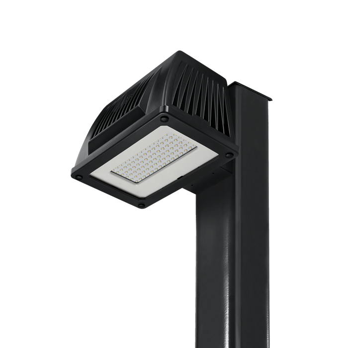 ATLAS Site Lighter Pro NEMA 7400Lm 64W LED Pole Area Light NEMA 4500K Bronze Also Available In 3000K CCT (PLM64LED)