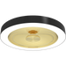 RAB AURA 16 Inch Decorative Surface Mount Wattage/CCT Selectable 25W/20W/15W 2700K/3000K/3500K/4000K/5000K Black With Golden Reflector (AURA-S16BG)