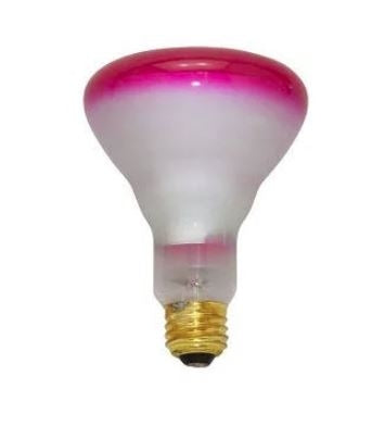 Halco BR30PNK65/5 65W Incandescent BR30 130V Medium E26 Base Dimmable Pink Bulb (404046)