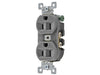 Bryant Heavy-Duty 15A/125V Duplex Gray (5262BGRY)