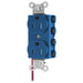 Bryant Hubbell Wiring Device-Kellems SNAPConnect Duplex Receptacle 15A/125V Split Circuit Tamper-Resistant Blue (SNAP5262BLSCTRA)