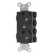 Bryant Hubbell Wiring Device-Kellems SNAPConnect Duplex Receptacle 20A/125V Tamper-Resistant Black (SNAP5362BKTRA)