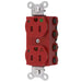 Bryant Hubbell Wiring Device-Kellems SNAPConnect Duplex Receptacle Hospital Grade 15A/125V Isolated Ground LED Red (SNAP8200RIGL)