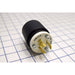 Bryant Locking Plug 20A 480V L8-20P Black And White (70820NP)