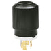 Bryant Locking Plug 30A 3PH 600V L17-30P Black And White (71730NP)